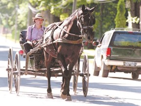 An Amish man drives his buggy down a road in Milverton, Ont.
POSTMEDIA NETWORK file photo
