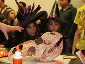 Beth Parrott and her daughter Eva, 5, check out a dinosaur skull during Let's Talk Science's School of Witchcraft and Wizardry event at the Katz Pharmacy Building at the University of Alberta Saturday. KEVIN MAIMANN/EDMONTON SUN