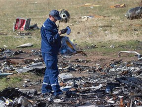 An Emergencies Ministry member searches for belongings at the site where the downed Malaysia Airlines flight MH17 crashed, near the village of Hrabove (Grabovo) in Donetsk region, eastern Ukraine, October 13, 2014. (REUTERS/Shamil Zhumatov)