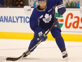 Maple Leafs defenceman Stephane Robidas. (JACK BOLAND/Toronto Sun files)