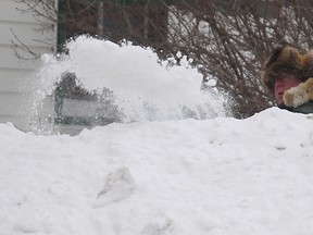 You probably won't be stuck with snow piles up to your neck this year -- Accuweather is predicting only 80% of average snowfall.