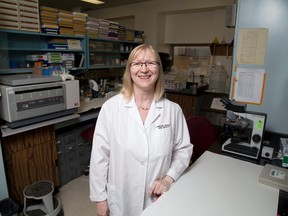 Lawson Research Institute researcher Brenda Strutt in London. DEREK RUTTAN/ The London Free Press /QMI AGENCY