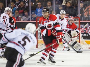 Ottawa 67's goalie Liam Herbst (1) and  Niagara IceDogs Anthony DiFruscia (10) eye the shot in OHL action at the Meridian Centre in St. Catharines, Ont. on Thursday October 30, 2014.  (Bob Tymczyszyn/St. Catharines Standard/QMI Agency)