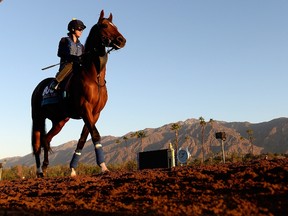 Aktabantay is led to the turf in preparation for the Breeder’s Cup at Santa Anita Park in Arcadia, Calif.