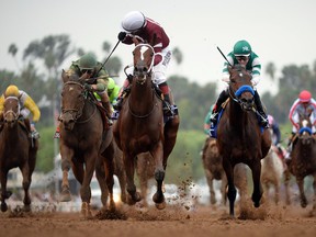 Rosie Napravnik, aboard Untapable, rides to victory in the $2-million Distaff race at the Breeders’ Cup at Santa Anita Park yesterday. (USA Today). (USA TODAY)