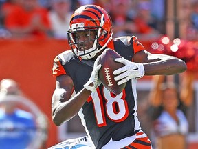 The Bengals finally get back their star WR, A.J. Green, though his owners hope it won’t be in a decoy role. (AFP/PHOTO)