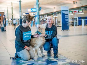 The Edmonton International Airport is using pet therapy dogs to make passengers feel more comfortable before boarding their flights. Photo by Edmonton Airports.