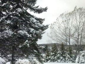 Atlantic Canada experienced its first significant snowstorm of the season, Tobique First Nation is pictured in this Nov. 3, 2014 photo. (Photo courtesy of Rocky bear/File photo)