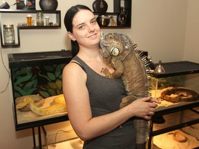 Christina Gable has run Recycled Reptiles - a rescue and rehabilitation centre for them - out of her apartment for almost two years but has had to close temporarily due to lack of funds. THURS., OCT. 30, 2014 KINGSTON ONT MICHAEL LEA THE WHIG STANDARD QMI AGENCY