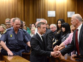 Oscar Pistorius (middle) holds the hands of family members after being sentenced at the North Gauteng High Court in Pretoria October 21, 2014. (REUTERS/Herman Verwey/Pool)