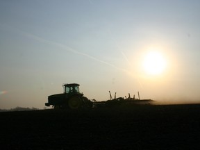 FARM SCENE