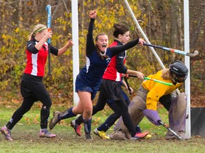 Parkside's Murranda McCallum raises her fist after she scored the first goal of the game in double overtime, deflecting a shot past South Huron keeper Amanda Hodgert to win the WOSSAA girls field hockey tournament held at Medway Secondary School.
Mike Hensen/QMI Agency