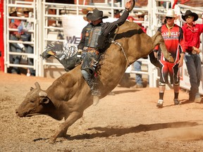 Scott Schiffner took the 2014 bull riding championship at the Calgary Stampede. (Al Charest, QMI Agency)
