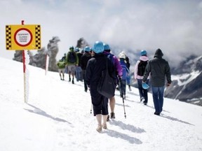 Tourists walk in the snow at the Hintertuxer Glacier in the Austrian province of Tyrol August 10, 2011. Credit: Reuters/Lisi Niesner