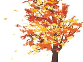 fall tree