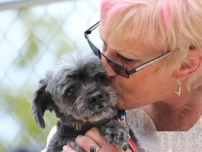 Judy Smith cuddles with Becky, the first dog taken in by the Before the Bridge Senior K9 Rescue when it opened in 2012. Becky, a poodle- cross, was 10 years old when her owner relinquished her.