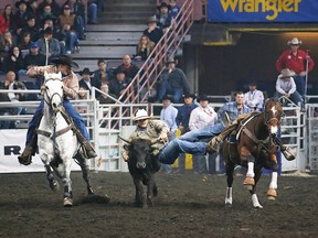 Jesse Lawes (Provost, AB.) takes part in Steer Wrestling during the 4th go round of the Canadian Finals Rodeo at Rexall Place in Edmonton, Alberta on Saturday, November 8, 2014 PERRY NELSON - EDMONTON SUN / QMI AGENCY