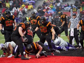 Guelph Gryphons defeated the Western Mustangs 51-26 in an Ontario university football semifinal to advance to the Yates Cup final next Saturday against the McMaster Marauders in Hamilton. ANDREW BAECHLER/ SPECIAL TO THE FREE PRESS