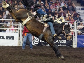 Jake Vold (Airdrie, AB) wins the fifth go round of the bareback riding competition at the Canadian Finals Rodeo at Rexall Place, in Edmonton Alta., on Saturday Nov. 8, 2014. The win clinched the overall title for Vold. David Bloom/Edmonton Sun/QMI Agency