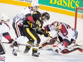 Sarnia Sting forward Davis Brown tries to push the puck past Niagara IceDogs goalie Brent Moran Saturday night in Niagara. Moran stopped all 27 shots he faced in a 2-0 victory. (COLIN DEWAR photo)