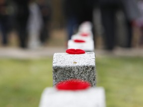 Poppies sit on top of the greave stones of veterans. (Hugo Sanchez/QMI Agency)
