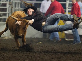 Tanner Milan  of Cochrane during the fifth go- round of the steer wrestling competition at the Canadian Finals Rodeo. (DAVID BLOOM/Edmonton Sun)
