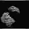 Rosetta Comet 67P_9