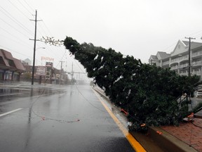 A Christmas tree is knocked onto its side during Hurricane Sandy in Ocean City, Maryland  October 29, 2012. (REUTERS/Kevin Lamarque)