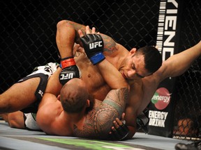 Fabricio Werdum (top) fights Travis Browne during their heavyweight fight at UFC on FOX 11 at Amway Center. (David Manning/USA TODAY Sports)