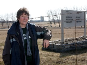 Dianne Dowling. (Ian MacAlpine/Whig-Standard file photo)