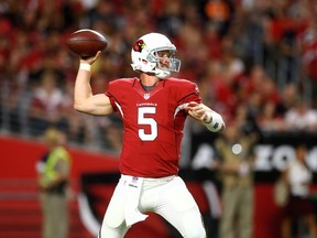 Arizona Cardinals quarterback Drew Stanton. (USA Today Sports)