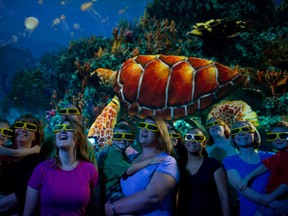 Visitors to SeaWorld Orlando watch a 3-D film in the 360-degree domed TurtleTrek theatre. SEAWORLD PHOTO