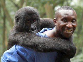 Virunga