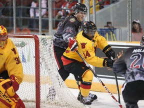 Ottawa 67's winger Tyler Hill battles Belleville Bulls defenceman Jordan Subban behind the net Friday night at TD Place. (Chris Hofley/Ottawa Sun)