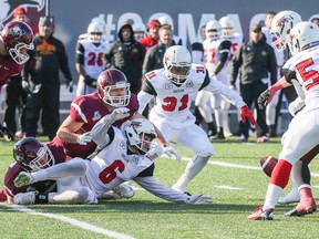 The Gryphons' Lucas Spagnuolo fumbles the ball, but Guelph recovers it against the McMaster Marauders at Ron Joyce Stadium in Hamilton on Saturday. (Dave Thomas/Toronto Sun)