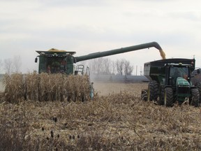 Corn is harvested Saturday in a field near the corner of Confederation Street and Modeland Road in Sarnia. This year has been a challenging one for Lambton County's farmers because of weather and lower grain prices. PAUL MORDEN/THE OBSERVER/QMI AGENCY