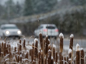 Ottawans awoke Sunday, Nov. 16, 2014 to a major dusting of snow on city streets making driving conditions risky. Environment Canada is forecasting 5 to 10 cms of snow for Monday, Nov. 17, 2014. This was what the countryside looked like in west Quebec on Sunday, Nov. 16, 2014.
DANI-ELLE DUBE/OTTAWA SUN/QMI AGENCY