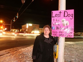 Lola, a five-year-old Bichon Frise, was outside with owner Julie Quesnel around 9 p.m. on Sept. 15 when the petite canine, who wasn't on a leash, "got onto a scent and took off," said Quesnel.