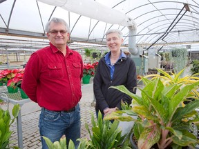Co-owners of Van Horik's Greenhouses and Garden Centre Steve Teske and Rhoda Van Horik are closing the business that has served London for 45 years in London, Ontario on Tuesday, November 18, 2014. (DEREK RUTTAN, The London Free Press)