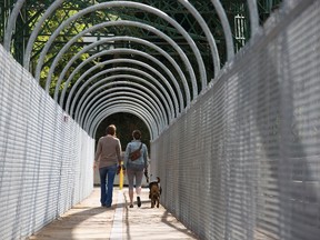 Christina Annett and Tarah Kennedy walk Sealy the dog walk across the Blackfriars Bridge in London, Ontario on Tuesday, September 16, 2014. (DEREK RUTTAN, The London Free Press)