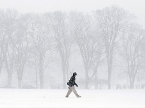 A pedestrian braves the elements during a winter storm on January 22, 2014 in Halifax, Nova Scotia. REUTERS/Devaan Ingraham file photo.