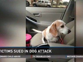 The Baker family's pet beagle, Bailey, was killed.