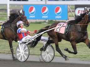 Trotting filly Shake It Cerry, driven by Ronald Pierce, takes an eight-race win streak into her Breeders Crown race on Nov. 21, 2014 at the Meadowlands. (MIKE LIZZI/Photo)