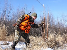 Neil checks out a rub made by a whitetail buck. (SUPPLIED)