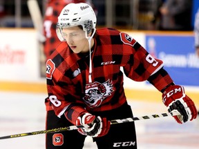 Ottawa 67's centre Dante Salituro scored again Sunday against Kingston, extending his team-leading goal total to 16 heading into Monday's school day game against Barrie at the Canadian Tire Centre. (Chris Hofley/Ottawa Sun)