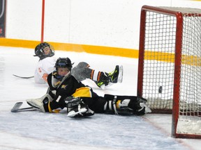 Logan Dallner of the Elma Logan Novice Local League team keeps his eye on the puck as it flips over Mitchell Novice Local League 2 goalie Keegan Meinen and into the net during round-robin action from the Elma Logan hockey tournament last Friday, Nov. 21. ANDY BADER/MITCHELL ADVOCATE
