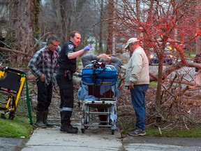 Neighbours talk with a man on a stretcher after helping pull him from under a downed tree on Tecumseh Avenue as high winds caused damage across London on Monday November 24, 2014.  The man was taken to hospital by paramedics with non-life-threatening injuries.
CRAIG GLOVER The London Free Press / QMI AGENCY