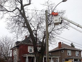 Submitted Photo: Municipal workers and Entegrus employees work during the afternoon of Nov. 24 to clean up and repair a hydro line on Margaret Ave. near the Legion. The fallen branch delayed traffic and left a number of homes temporarily without power. High winds throughout the Chatham-Kent region knocked down trees and downed power lines.