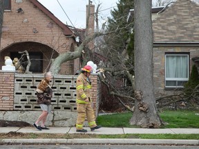 A firefighter walks with a resident while surveying damage after a large tree branch fell on a Little Grey Street home sending another resident to hospital with unknown injuries after high winds toppled the limb in London on Monday November 24, 2014. CRAIG GLOVER The London Free Press / QMI AGENCY