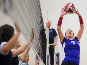 volleyball pic